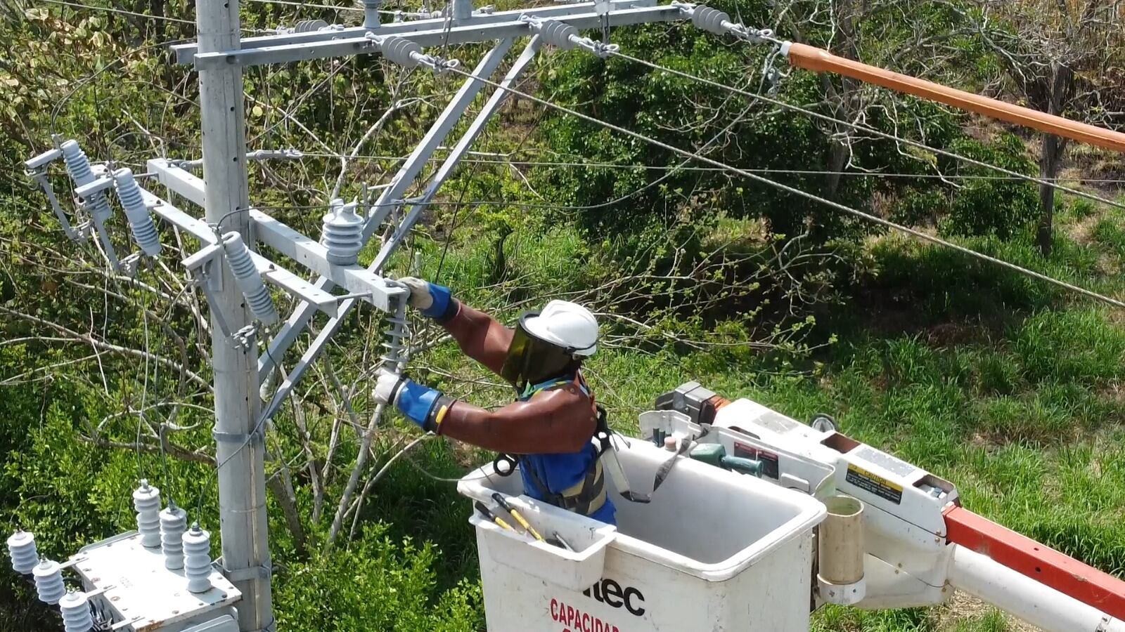 Suspenden servicio de energía en finca de Alex Manga.