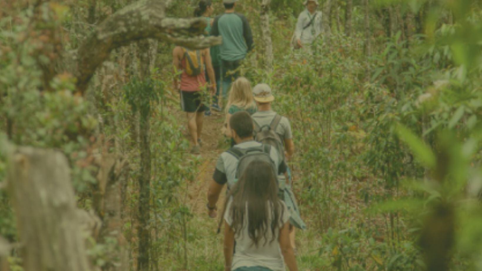 ¿Cuánto cuesta la entrada al Parque Arví, en Medellín, y en qué horarios se puede visitar?
