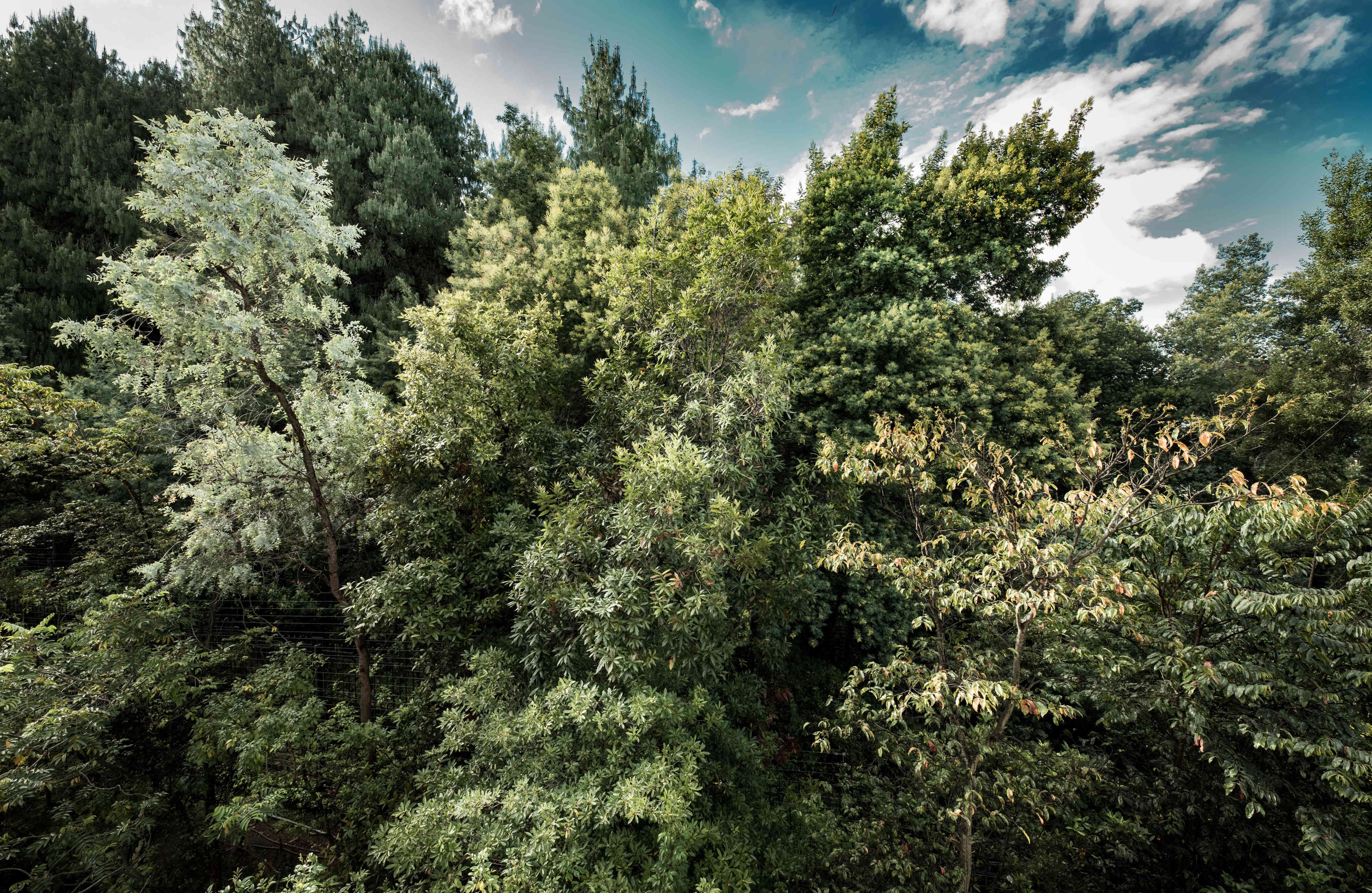El espectacular homenaje en fotos del embajador de Alemania a Bogotá en su cumpleaños