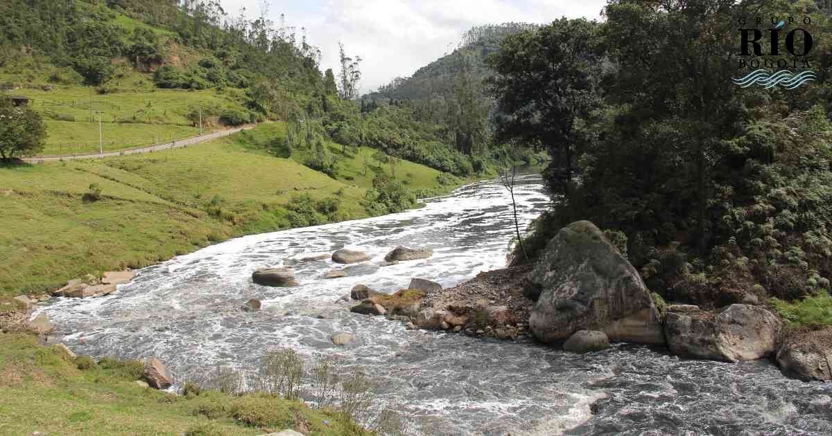 Implementar buenas prácticas ambientales en los procesos productivos de las empresas es clave para el mejoramiento de la cuenca del Bogotá. Foto: Nicolás Ortiz.
