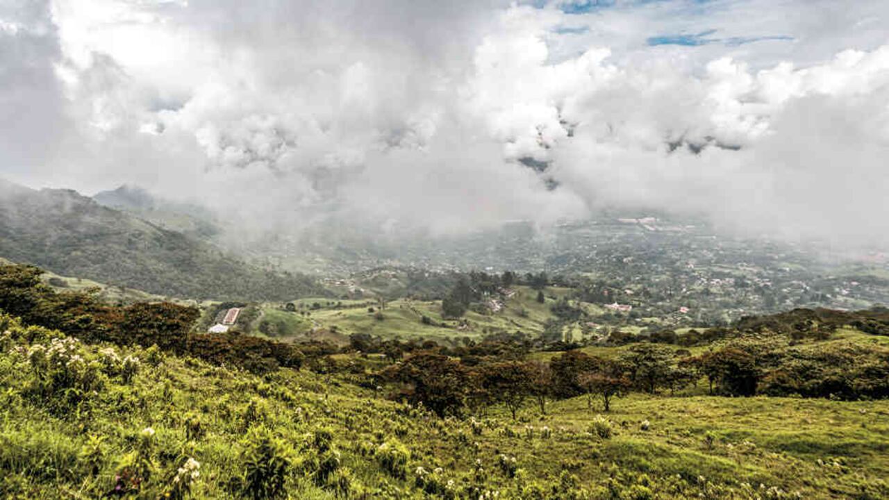 La reforestación es fundamental para conservar los ecosistemas que quedan a las afueras de Girardota.