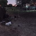 Así quedó el camión blindado que fue atacado por un grupo armado en Arauca.