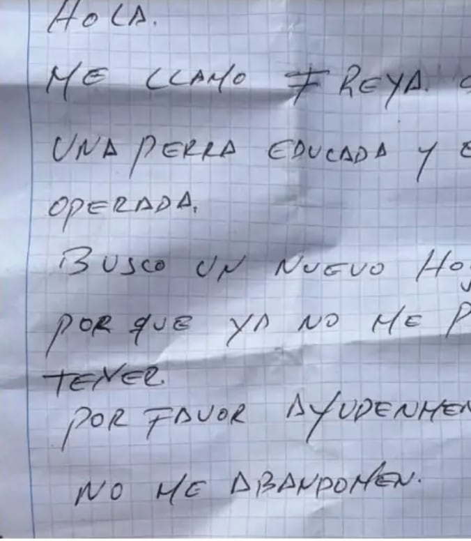 Carta con la que encontraron a perrita abandonada.