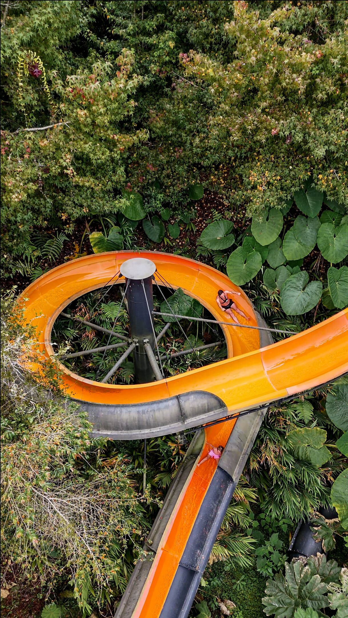 El Acquaparque de Termales El Otoño cuenta con toboganes termales, pool bar, zonas verdes y actividades recreativas, perfecto para disfrutar en familia.