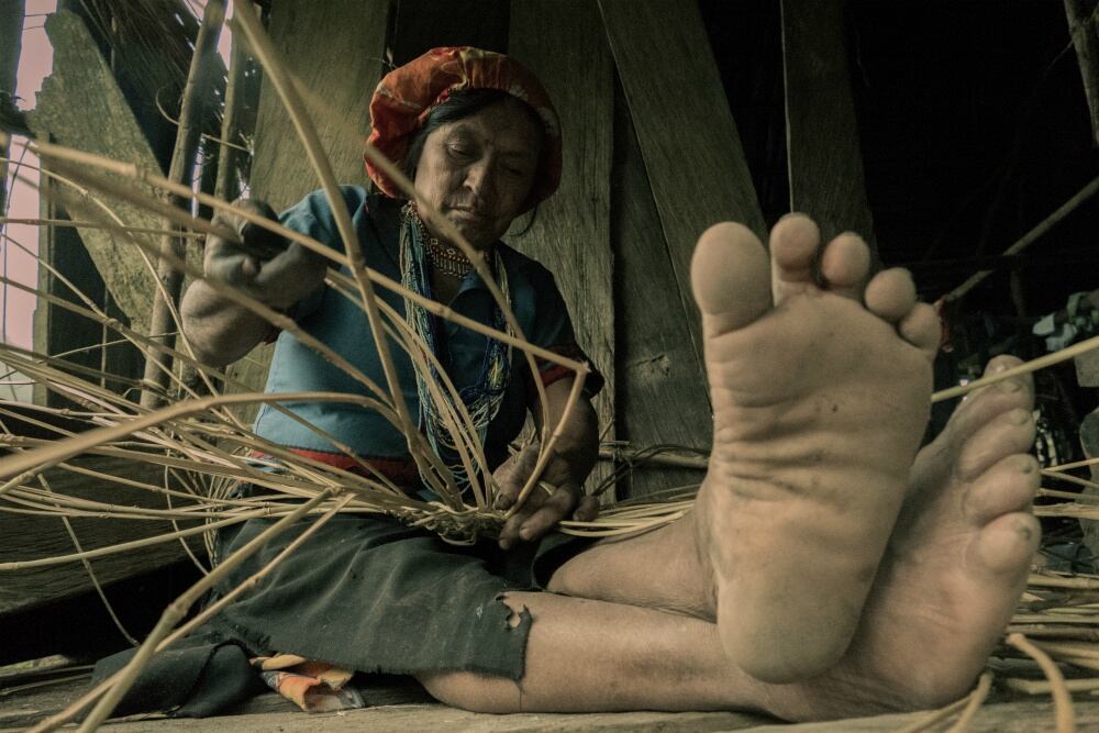 El segundo entierro de Alejandrino