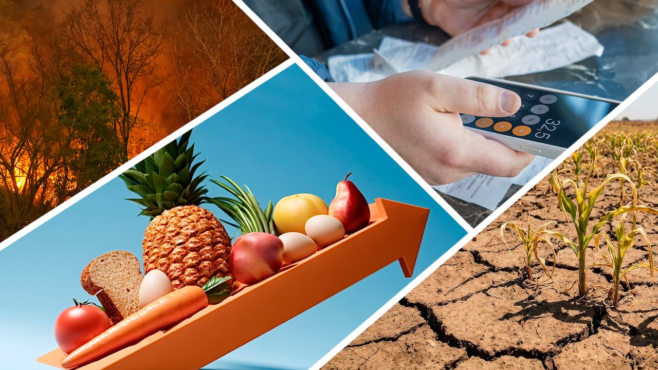 El IDEAM asigna una probabilidad del 75% de que este fenómeno de El Niño se consolide como el más fuerte desde que se tiene registro.