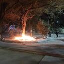 La casa de los animales quedó en llamas