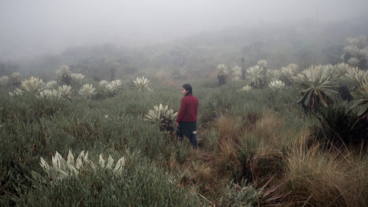 Fotografía de "La sirga" de William Vega. Cortesía de la Cinemateca de Bogotá