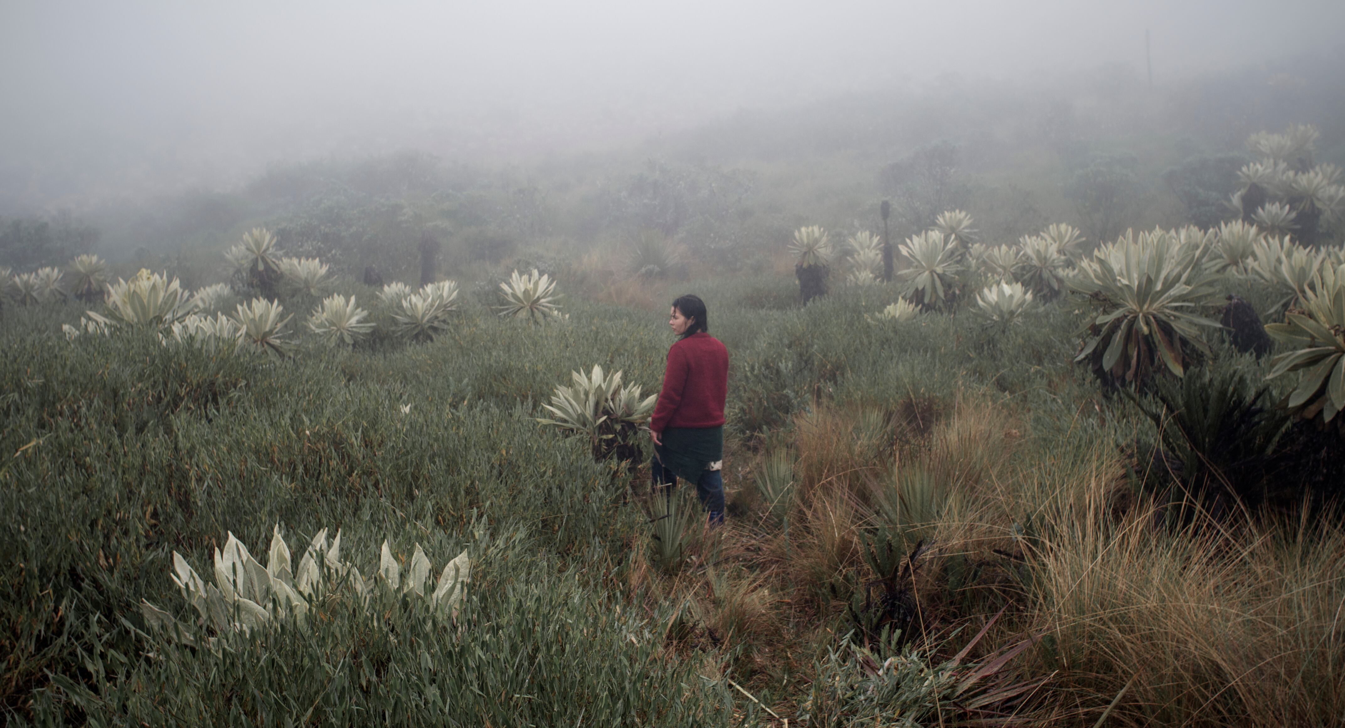 Fotografía de "La sirga" de William Vega. Cortesía de la Cinemateca de Bogotá