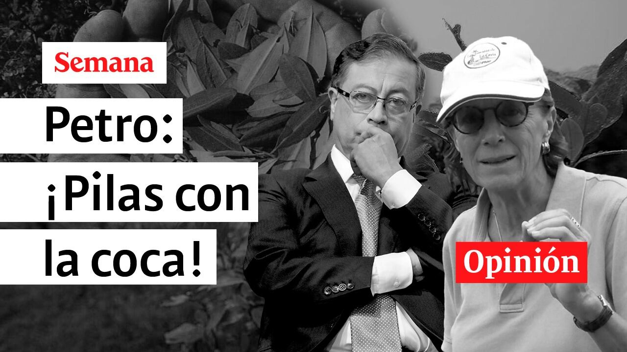 “Colombia, océano de coca”: Salud Hernández-Mora muestra la realidad del Cauca