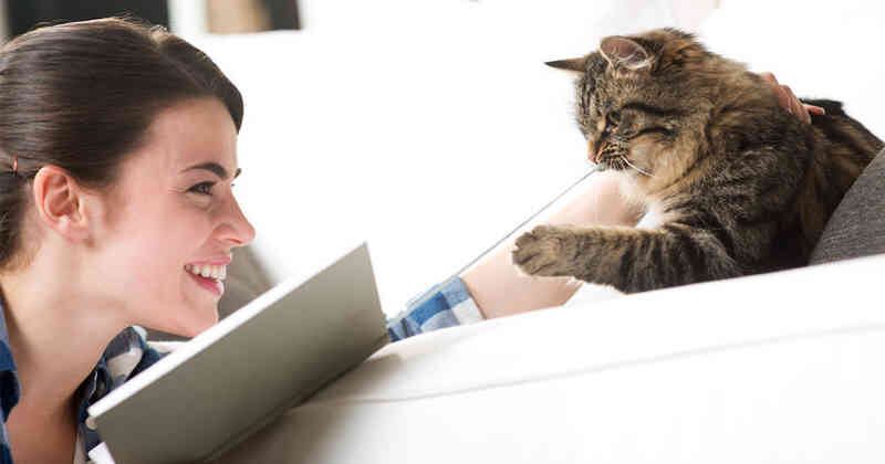 Es importante jugar y mantener activo al animal.