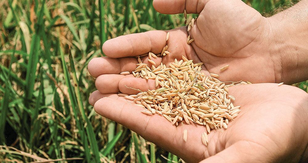   En los últimos años, los arriendos no han aumentado al ritmo de la inflación por las dificultades que causó la pandemia. Ahora se incrementarán 13,12 por ciento.