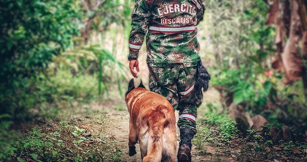     Grupos armados como el Clan del Golfo están formando sus propios ejércitos de perros.