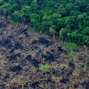 San Vicente del Caguán fue el municipio más deforestación del país en 2017.