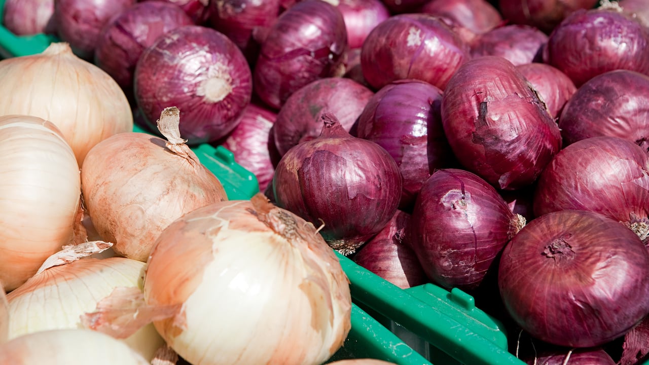 En la antigüedad, la cebolla fue usada como medicina preventiva durante las epidemias de cólera y la peste.