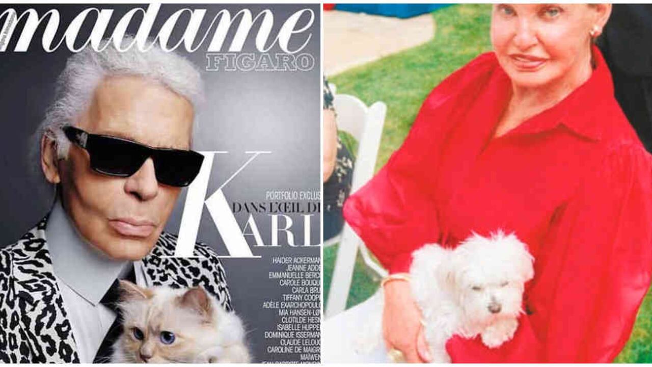 La gata Choupette y de la perra Trouble: animales millonarios.