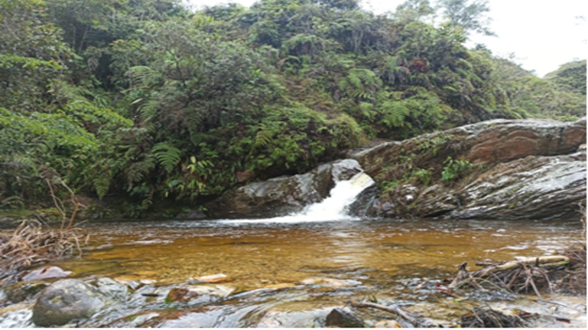 Anorí, Antioquia