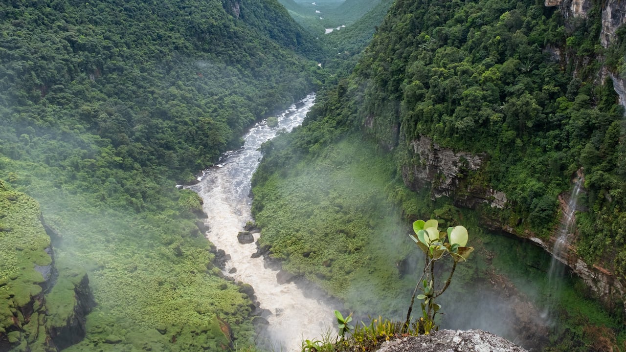 Vista aérea sobre el río Potaro desde lo alto de las cataratas Kaieteur en el Parque Nacional Kaieteur, Guyana, Sudamérica.