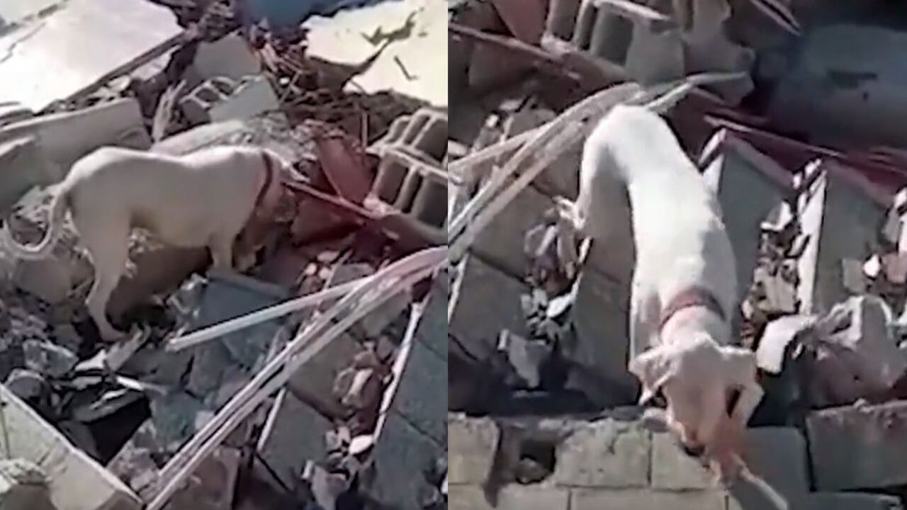 Terremoto en Turquía