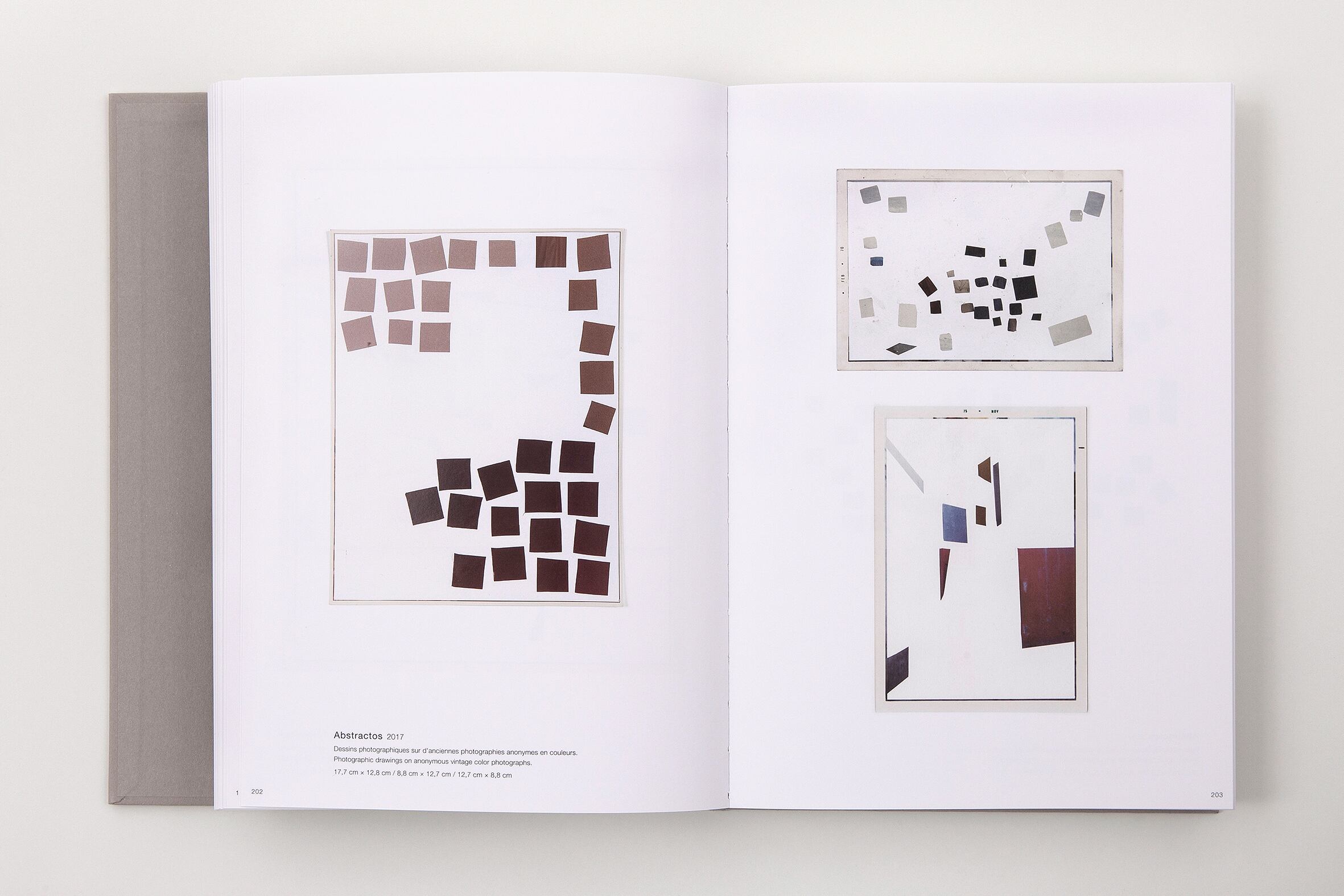 Johanna Calle Photo Graphias