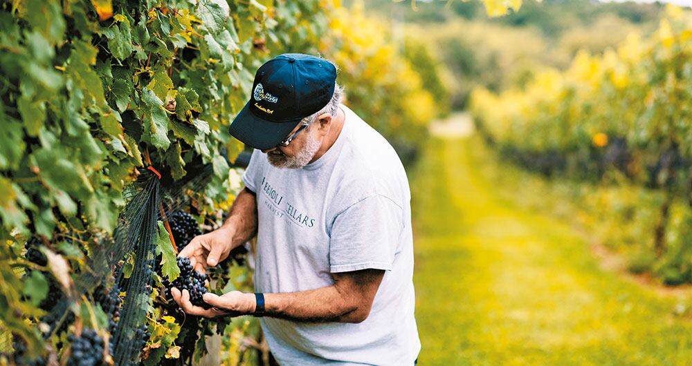 Doug Fabbioli, propietario de la viña Fabbioli Cellars, en Leesburg, Virginia