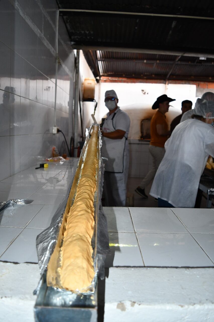 La achira más grande del mundo mide 3 metros de largo.