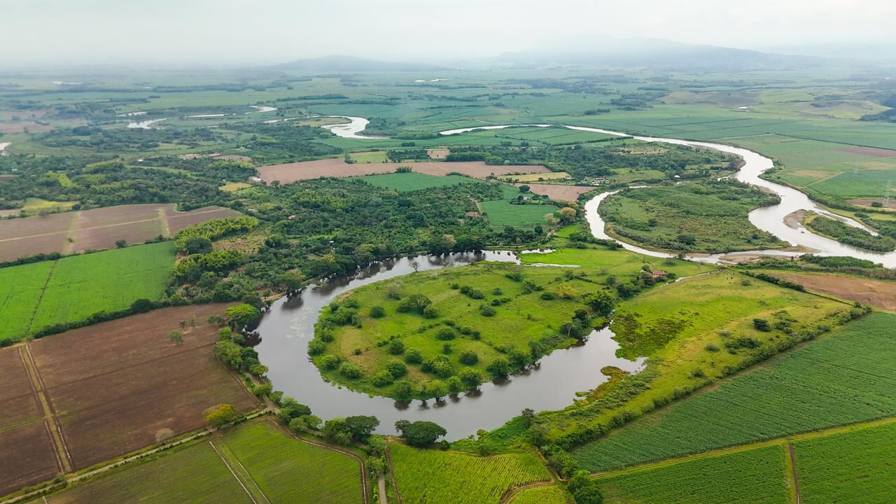 En el Valle del Cauca hay 112 humedales que suman aproximadamente 2595 hectáreas, sobre los cuales la CVC busca su protección.