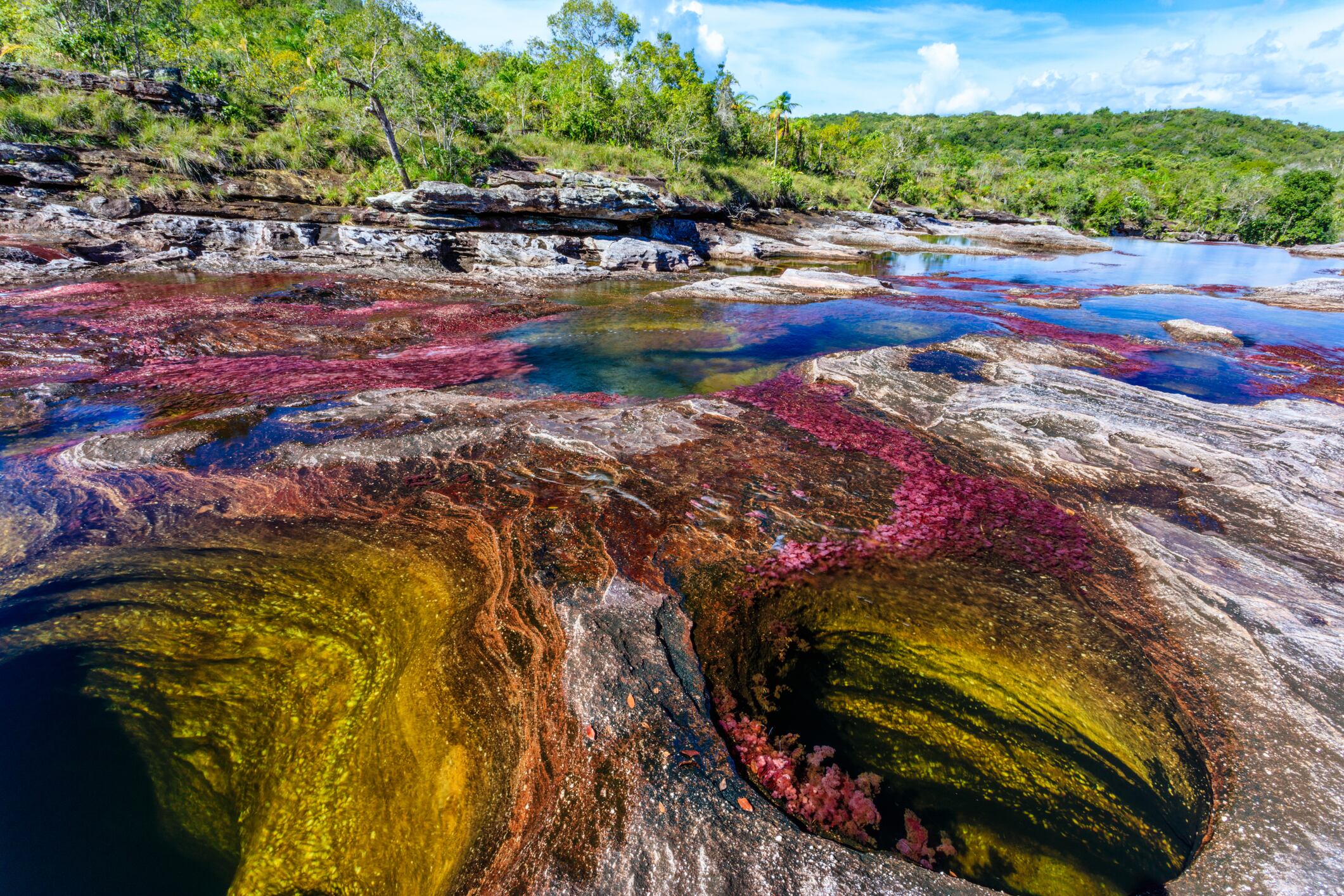 Caño Cristales