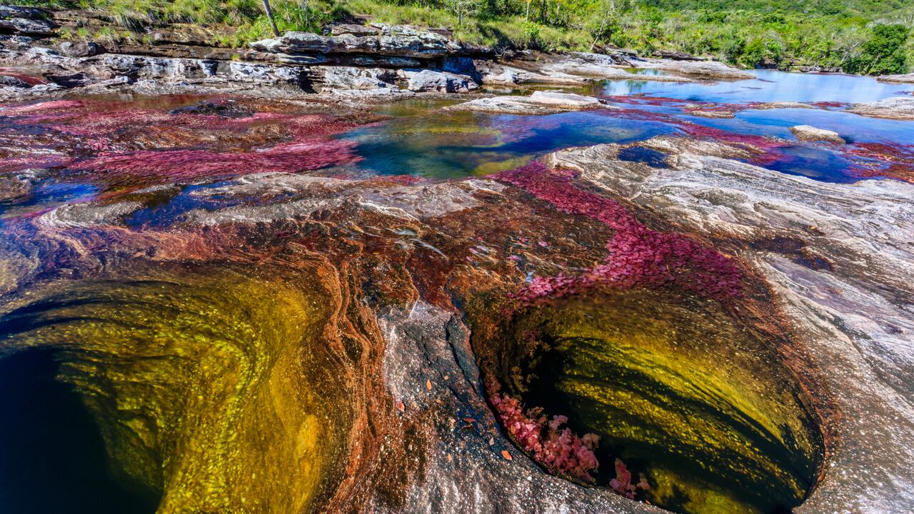 Caño Cristales