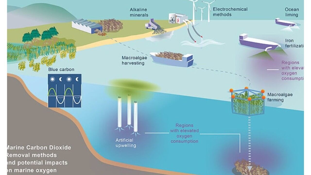 Cabe esperar que las medidas de mitigación climática ayuden a contrarrestar la disminución del oxígeno.