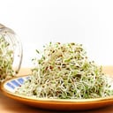 La planta leguminosa alfalfa aporta beneficios para el sistema digestivo. Foto: Getty Images.