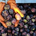 El higo es una fruta que ayuda a reducir la presión arterial, los niveles de azúcar en la sangre y aporta antioxidantes.