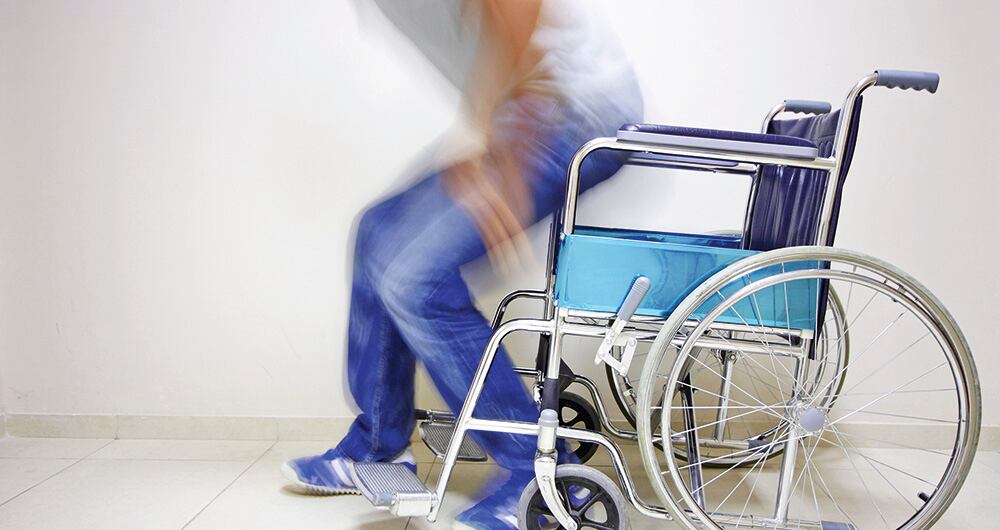 Los gatos memorizan nombres_2