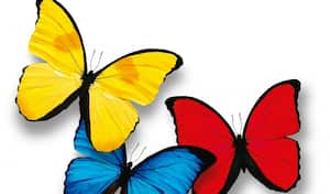 Así luce el logo que se verá durante la transmisión de la posesión del presidente electo, Gustavo Petro, diseñado por el publicista Carlos Duque