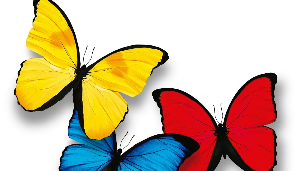 Así luce el logo que se verá durante la transmisión de la posesión del presidente electo, Gustavo Petro, diseñado por el publicista Carlos Duque