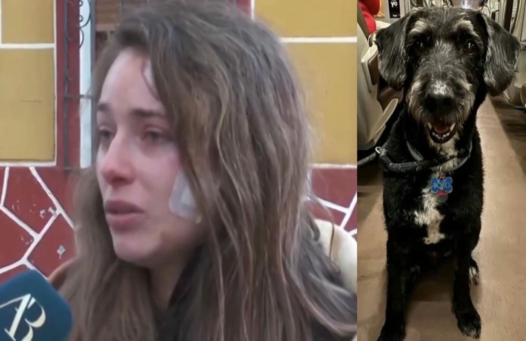 La conmovedora historia tras el rescate de Boro