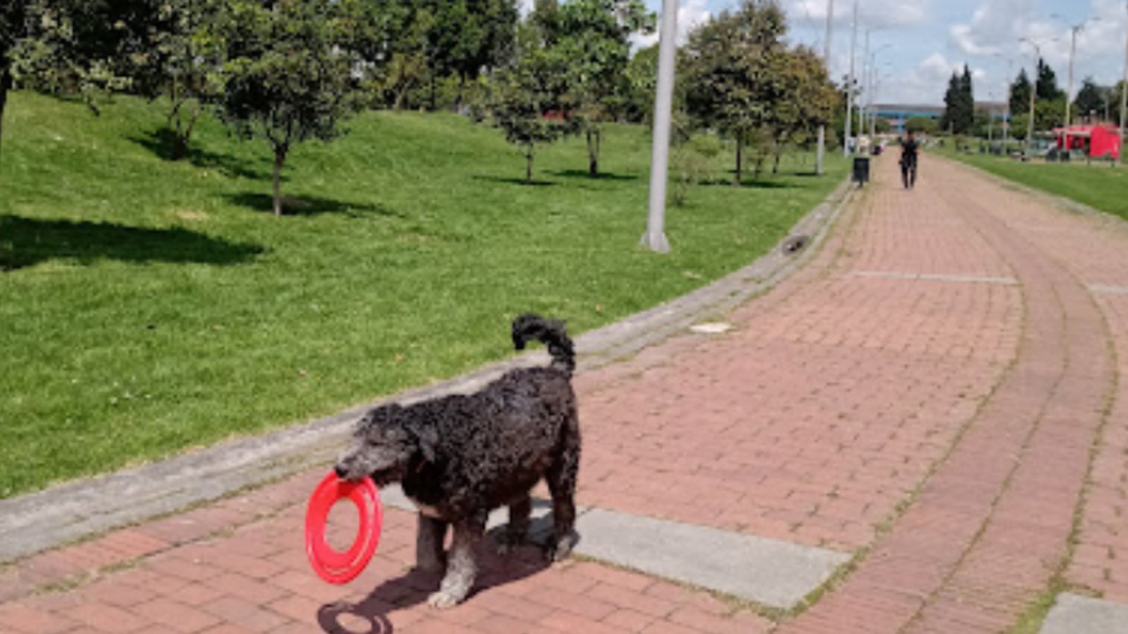 El Parque Tunal es uno de los lugares adaptados para que su mascota pueda disfrutar tranquilamente.