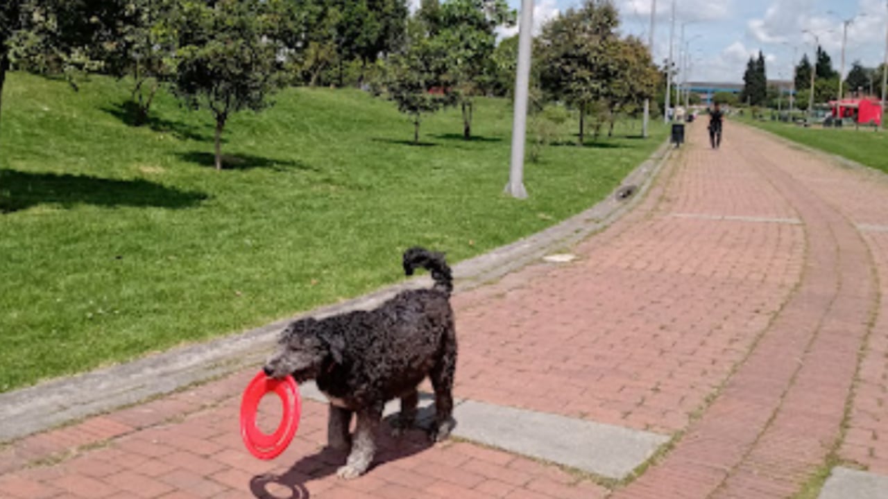 Estos espacios ofrecen la oportunidad de realizar caminatas, conocer nuevos paisajes y compartir momentos agradables al aire libre.