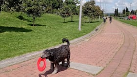 El Parque Tunal es uno de los lugares adaptados para que su mascota pueda disfrutar tranquilamente.