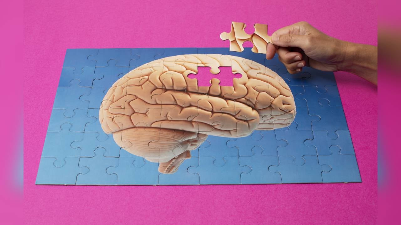 Los suplementos para la memoria son de gran ayuda para los estudiantes, los trabajadores que viven bajo estrés y en la vejez. Foto: GettyImages.