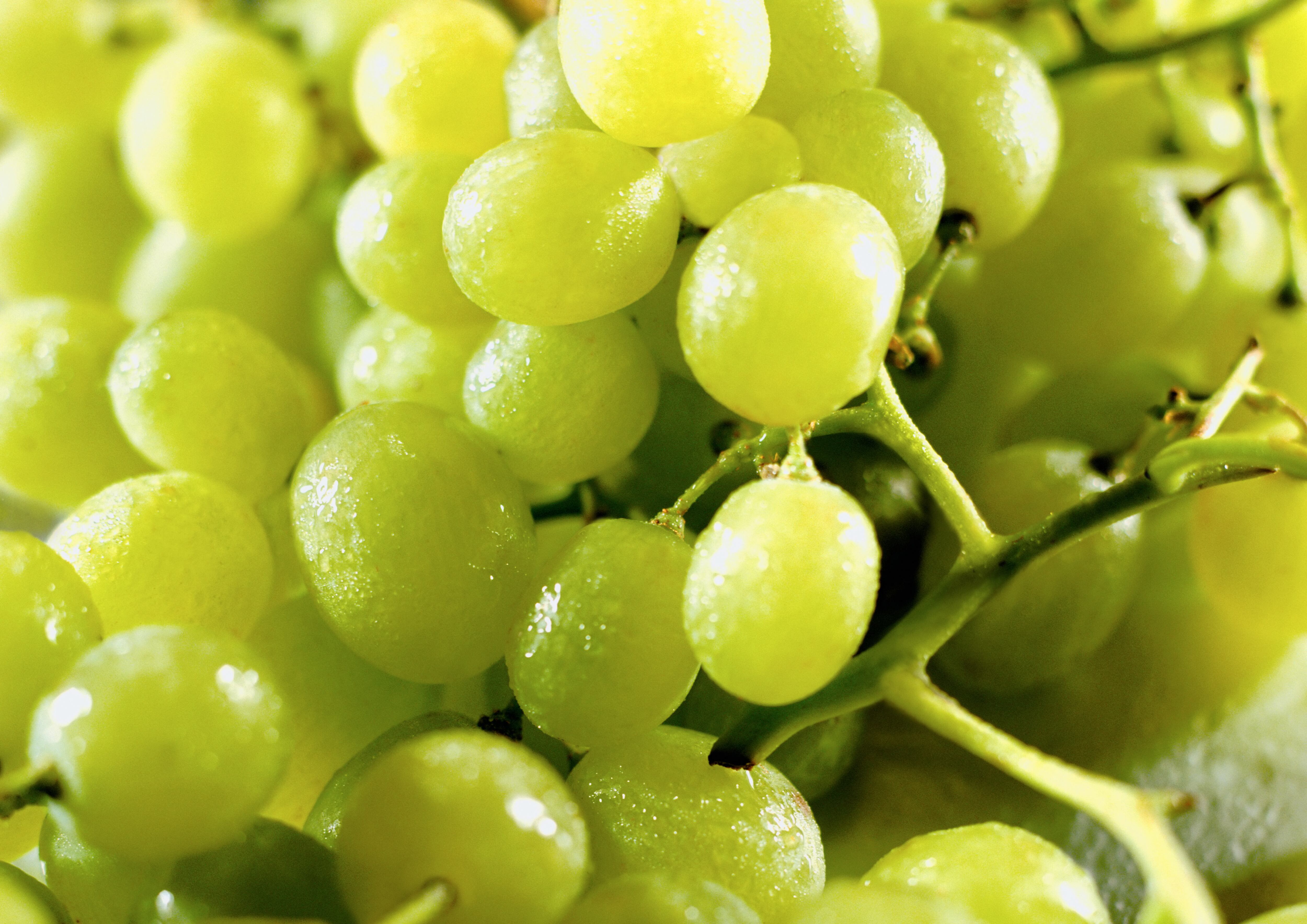 uvas verdes