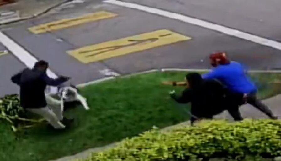 En el video, ante el susto del hombre, este levanta las manos, pero de inmediato su perro al ver que su dueño iba a ser agredido con el cuchillo reacciona y comienza a ladrar mostrando su coraje, al tiempo que se da a la tarea de perseguirlo.