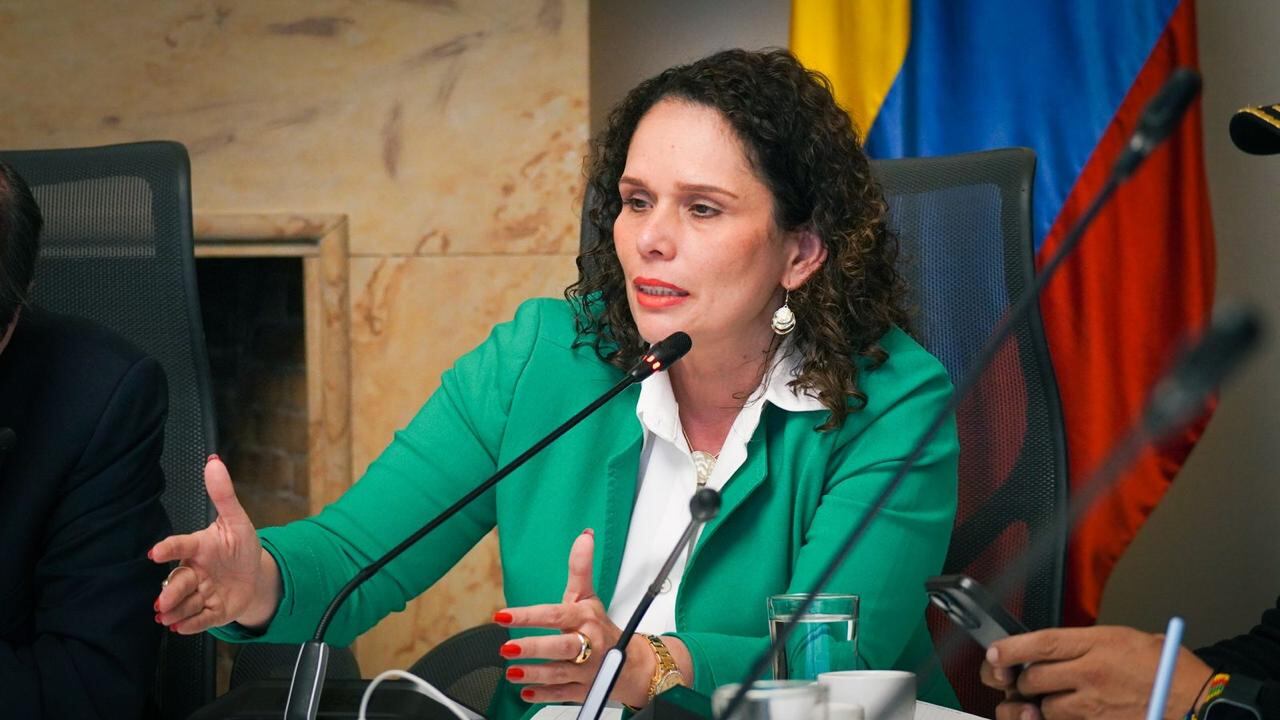 La ministra de Transporte, María Constanza García, invitó al diálogo a los camioneros.