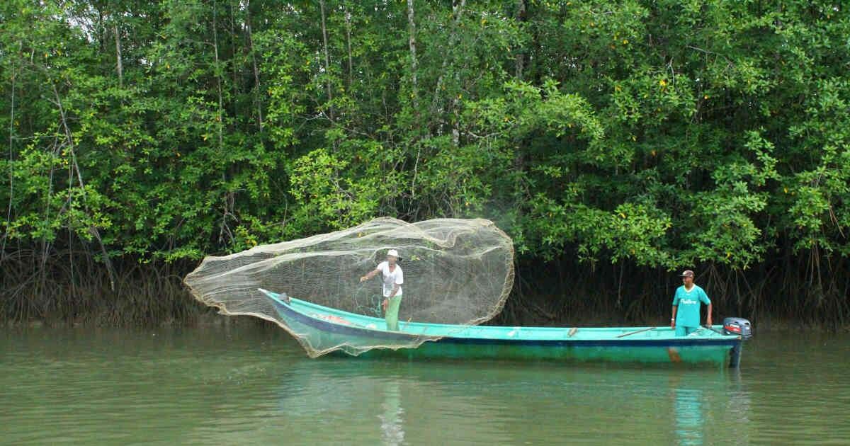 Pescadores en Golfo de Tribugá