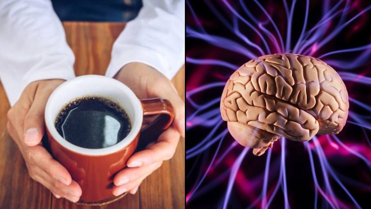 El café y su relación con el cerebro.