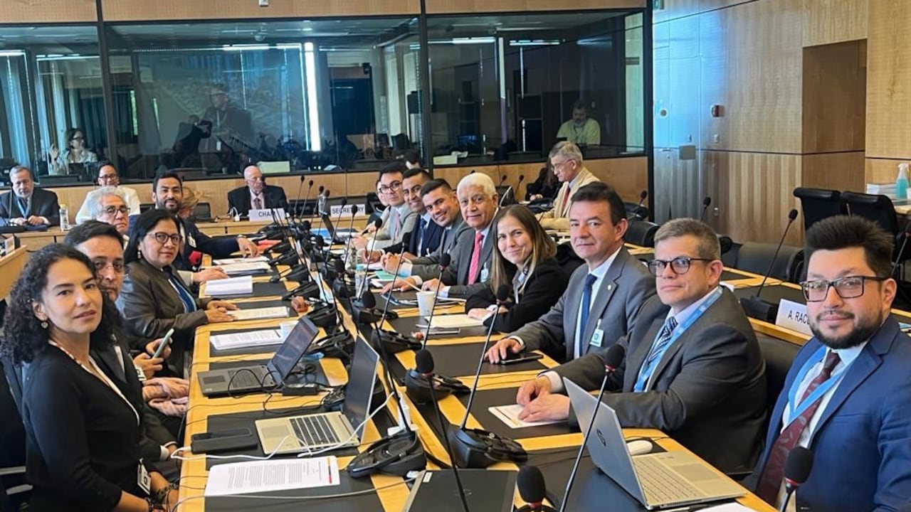 La comitiva del Gobierno Nacional en Ginebra, Suiza estuvo integrada por representantes de 13 entidades.