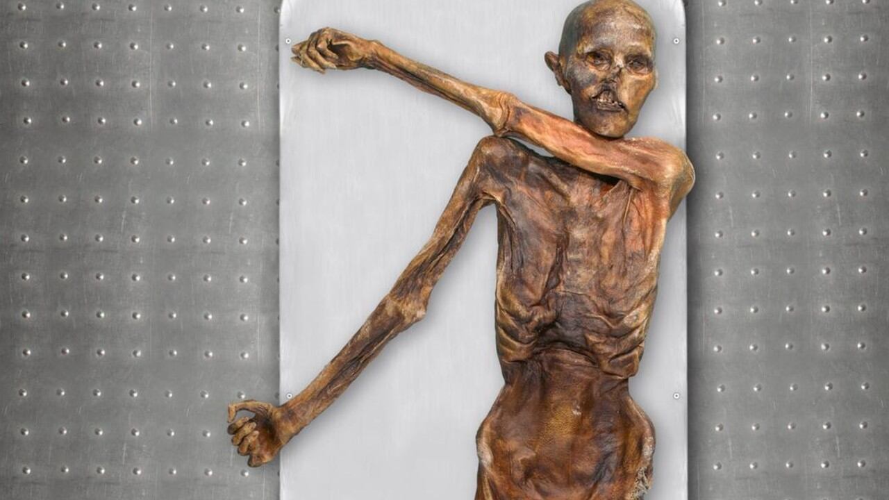 Ötzi, la momia más antigua preservada en hielo, fue descubierta en los Alpes italianos en 1991.