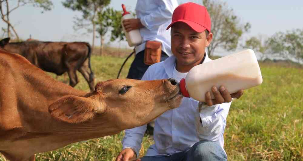 El propósito de Alquería es nutrir el futuro de Colombia, transformando sueños en realidades.