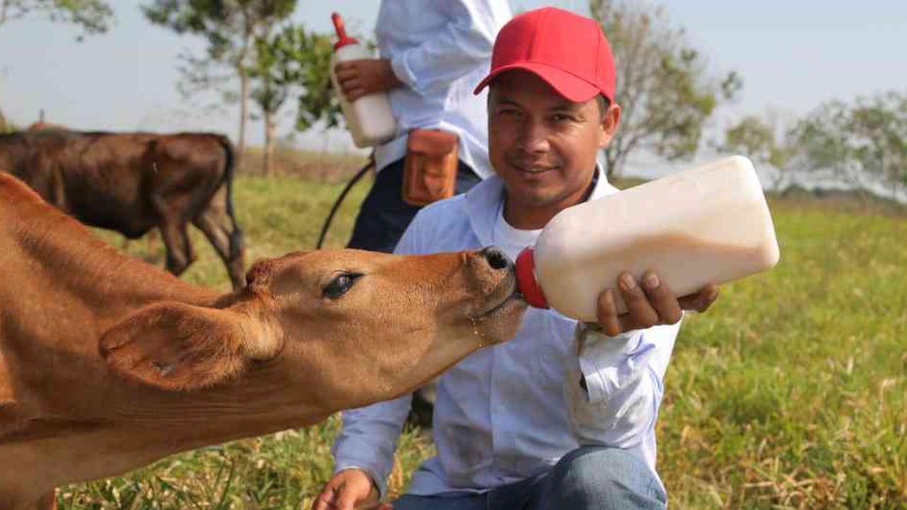 El propósito de Alquería es nutrir el futuro de Colombia, transformando sueños en realidades.