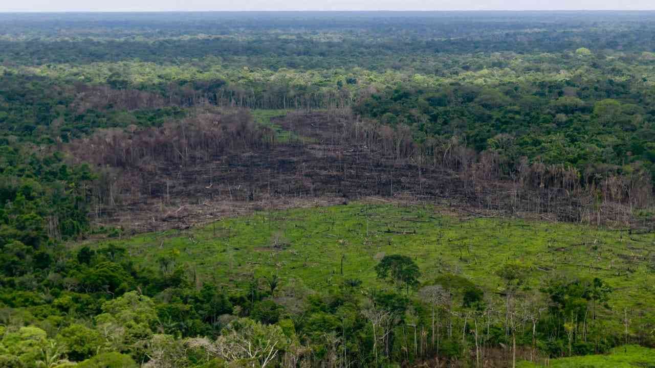 La deforestación en el Meta en el primer trimestre del año superó las 24.000 hectáreas, según el Ideam. Foto: PNN - Colombia hoy.